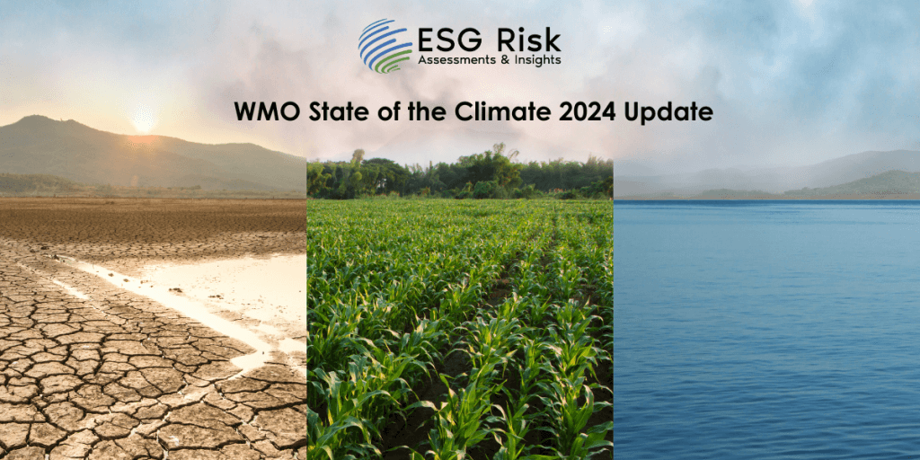 WMO State of the Climate 2024 Update