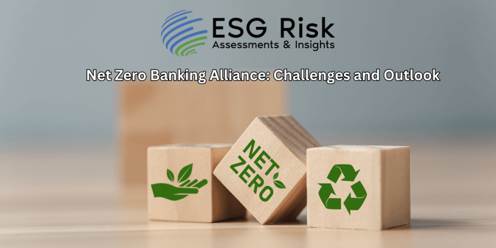 Net Zero Banking Alliance: Challenges and Outlook